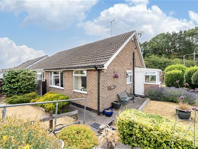 Picture 31